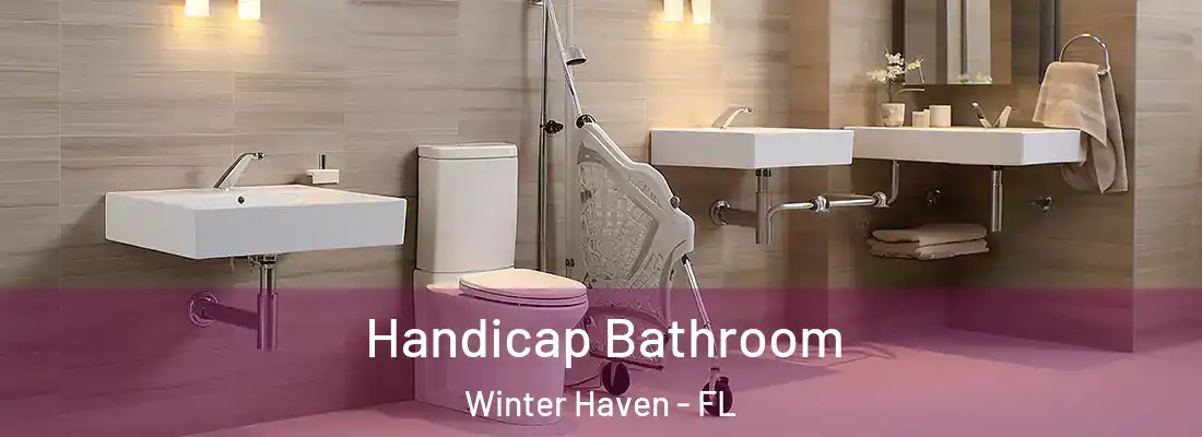 Handicap Bathroom Winter Haven - FL