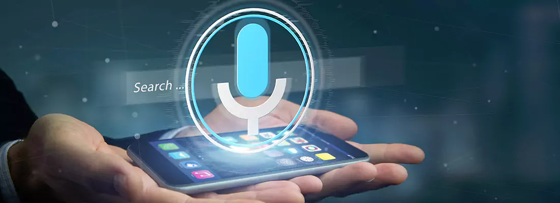 Enhance Security with Voice Recognition Access Systems in Winter Haven, FL